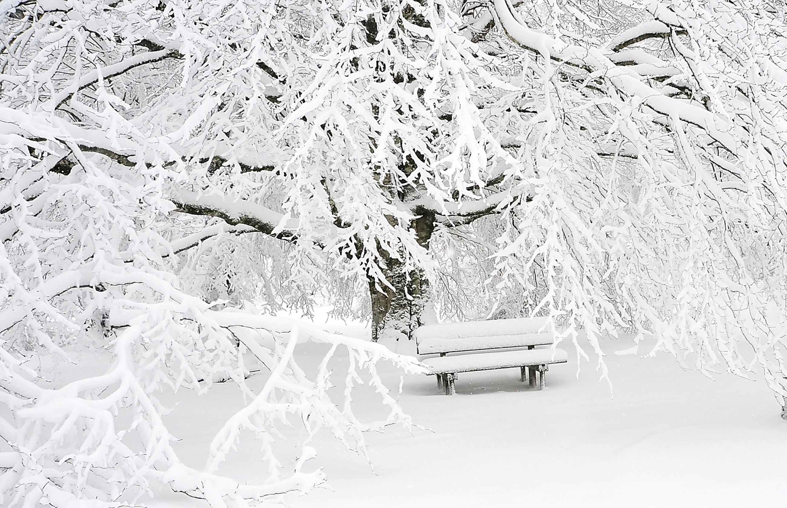 snow bench