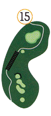 Hole 15 map